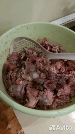 Говядина для собак