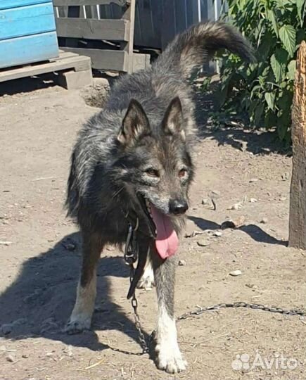 Отличный парень