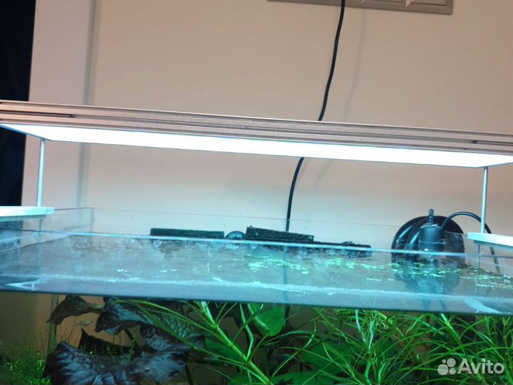 Аквариум оптивайт 45х45х45