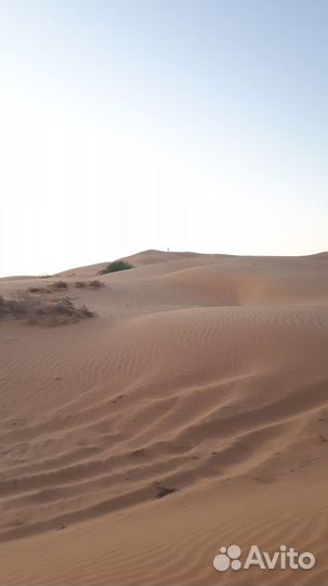 Поездки на бархан, сарай-бату, маяк