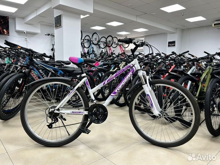 Велосипеды TopGear Kimiko Paruisi 24-26