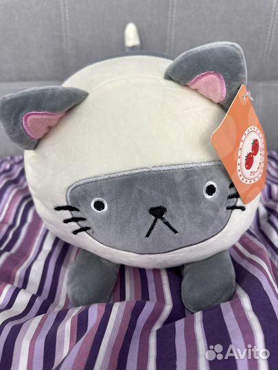 Pusheen cat
