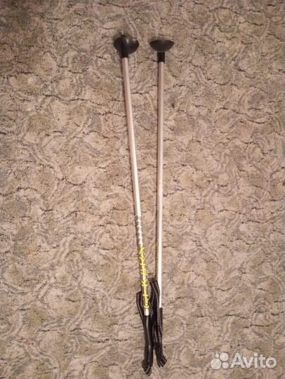 Лыжные палки