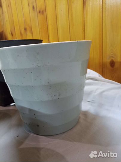 Горшки, цена за все