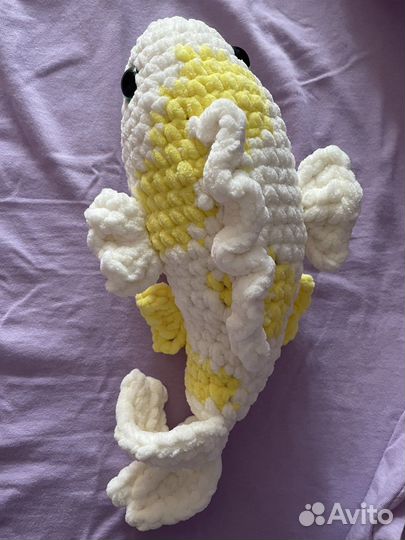 Рыбка карп Кои