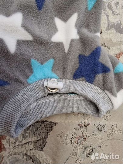 Боди из флиса на котёнка сфинкс бамбино