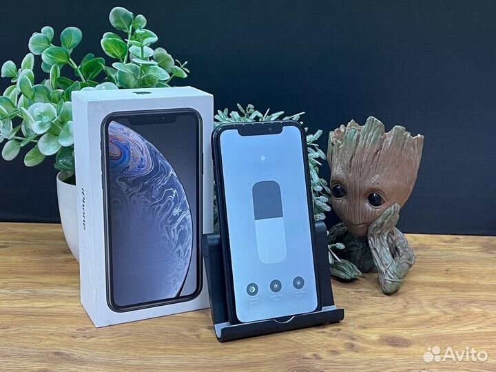 iPhone Xr, 64 ГБ