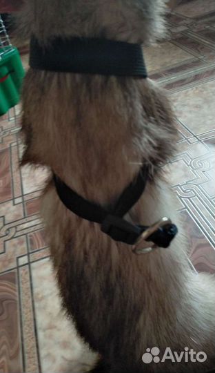 Шлейки на заказ