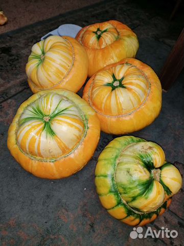 Семена Тыквы Турецкая чалма