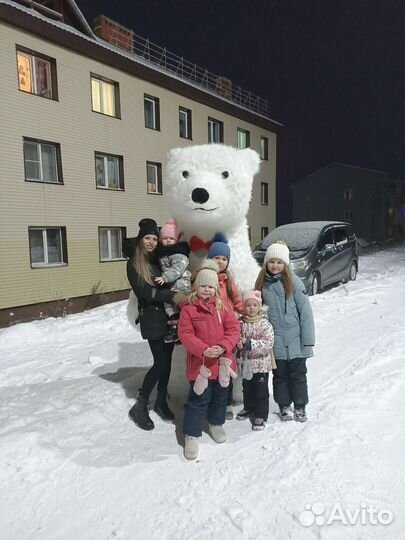 Белый мишка поздравление ростовой медведь аниматор