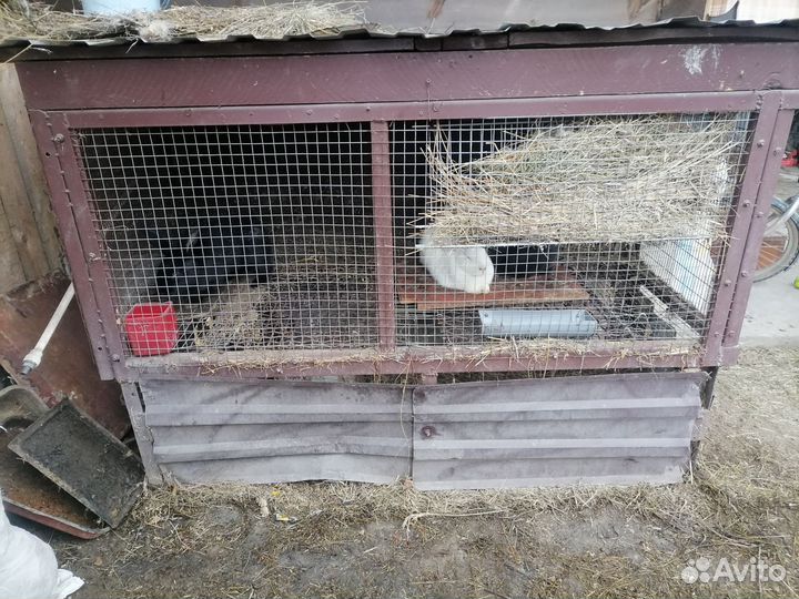Клетка для кроликов