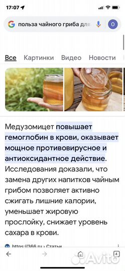 Чайный гриб комбуча