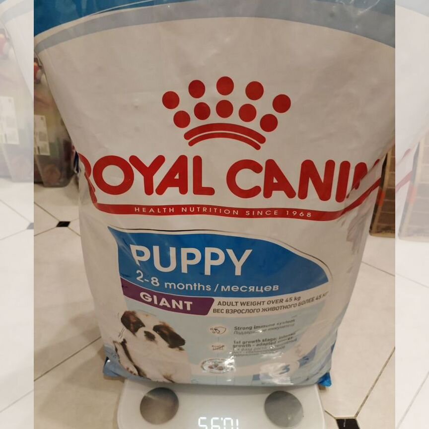 Корм для собак royal canin giant puppy