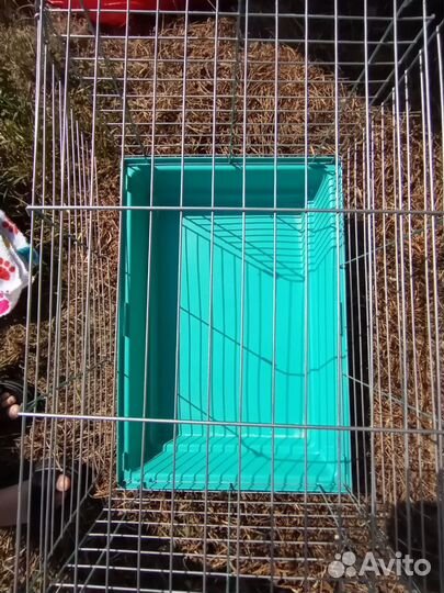 Клетка для грызунов большая