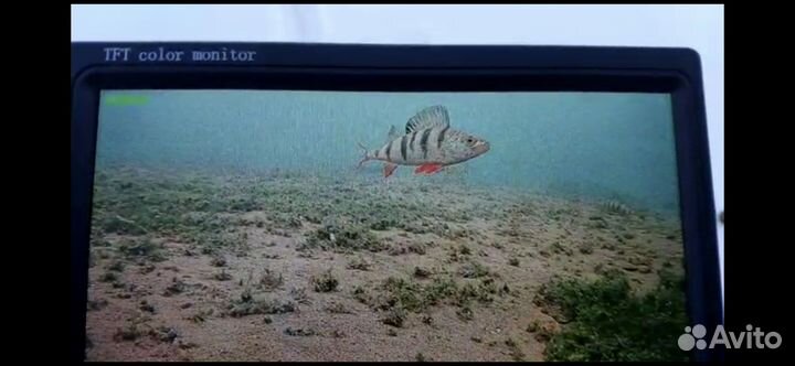 Подводная камера для рыбалки