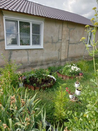 Дом 70 м² на участке 12 сот.