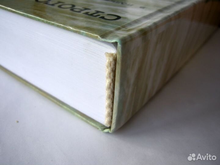 Омское Прииртышье в политических сводках 1920-1930