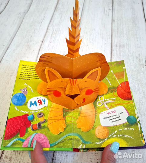 Объемные книжки панорамки Pop up Malamlama пакетом