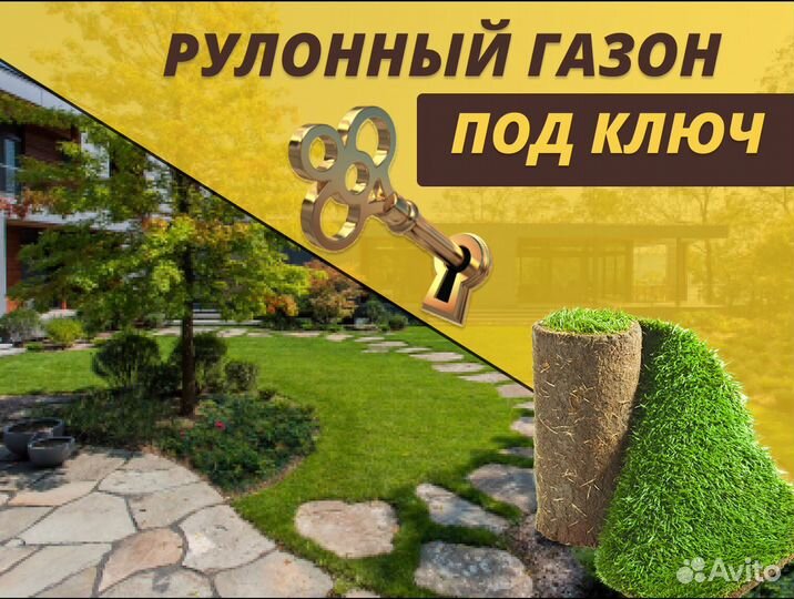 Рулонный газон Элитный под ключ