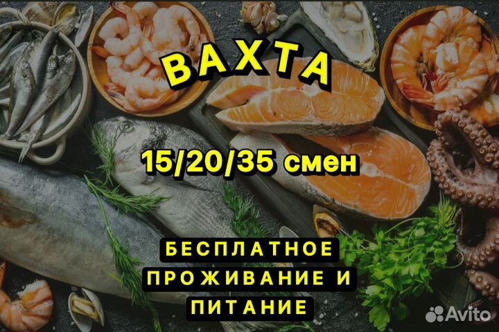 Вахта в Москве, Фасовщик морепродуктов 15/30/45/60