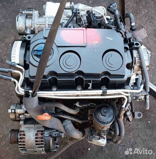 Двигатель BLS Volkswagen Passat B6 1.9 Дизель