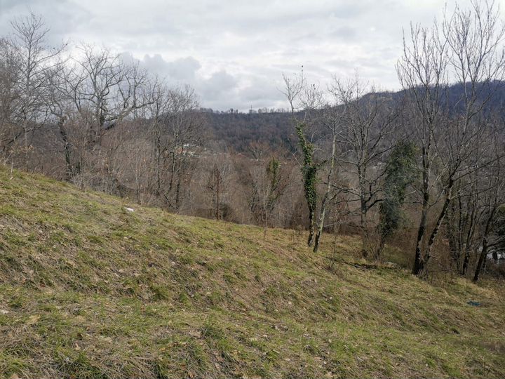 Участок 8,91 га (СНТ, ДНП)