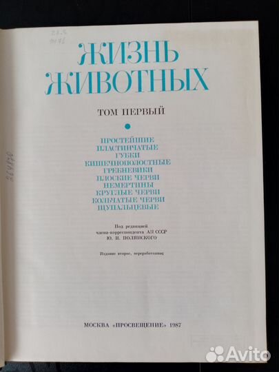 Жизнь животных