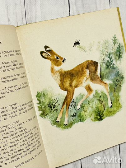 В. Бианки. Рассказы и сказки (1964)