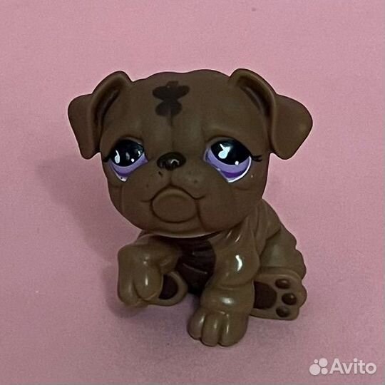 Littlest Pet Shop
