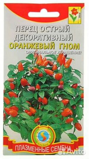 Рассада перца