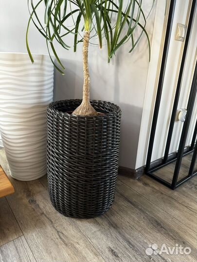 Кашпо из ротанга