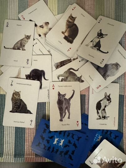 Сувенирные игральные карты санкт-петербург коты