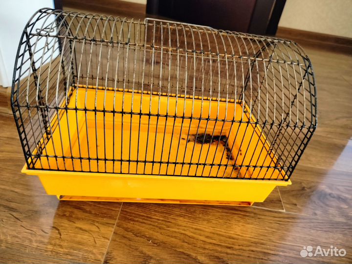 Шиншиллы с клеткой и всем что им необходимо