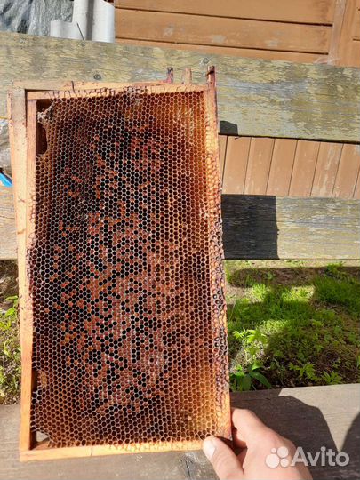 Рамки для ульев с пергой