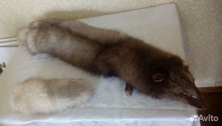 Песец обработанный (целиковый)