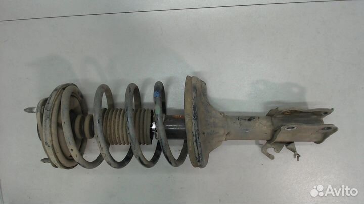 Амортизатор подвески Nissan Tiida, 2004