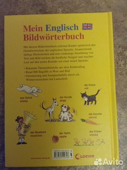 Книга Иллюстрированный словарь английского языка