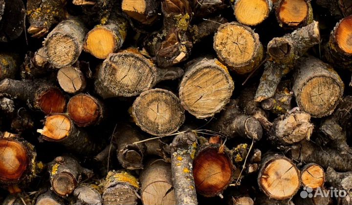 Дрова ольха от производителя