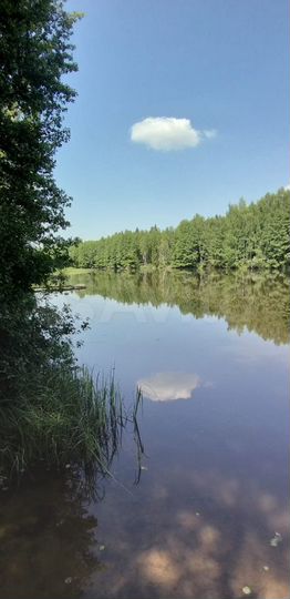 Участок 3 га (СНТ, ДНП)