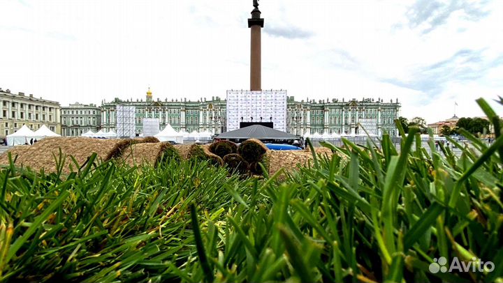 Рулонный газон