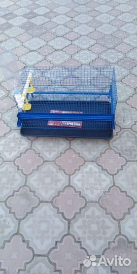 Клетка для перепелов