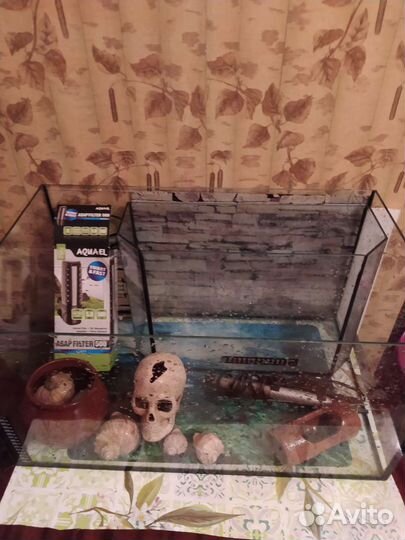Аквариум