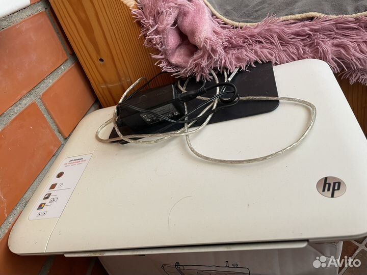 Принтер hp