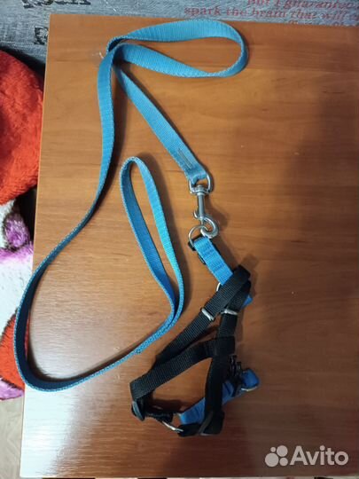 Поводок-шлейка