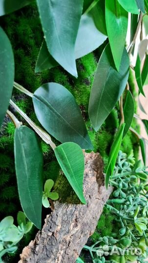 Картина, фито панно, картина из мха, фитостена