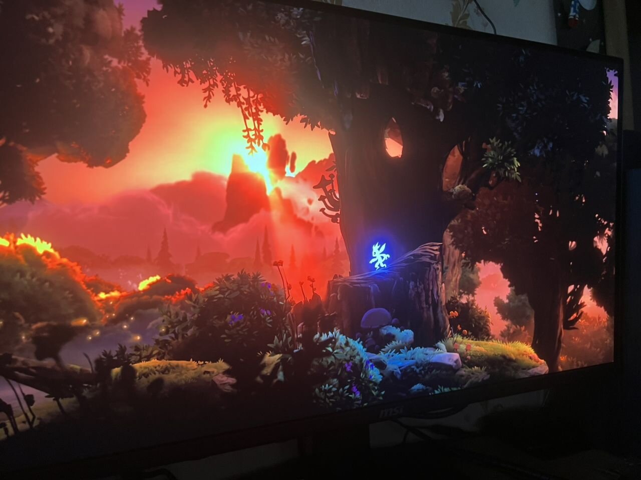 Фото из отзыва