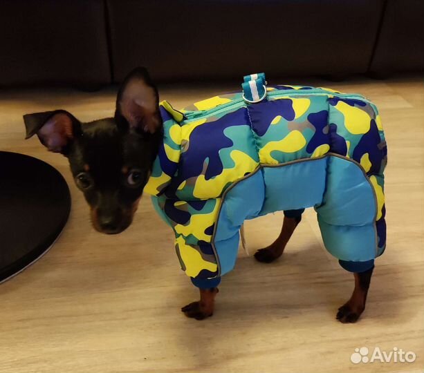 Комбинезон зимний для маленькой собачки