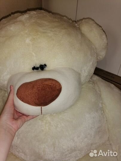 Плюшевый медведь