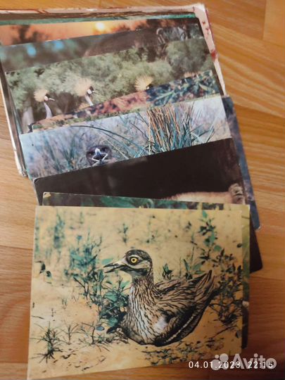 Открытки советские СССР