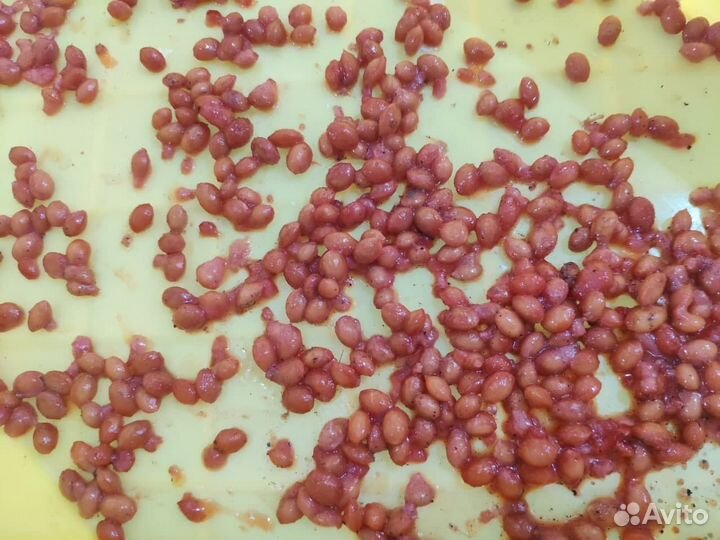 Машина Vega Cherry Pitting F2000 удаление косточек